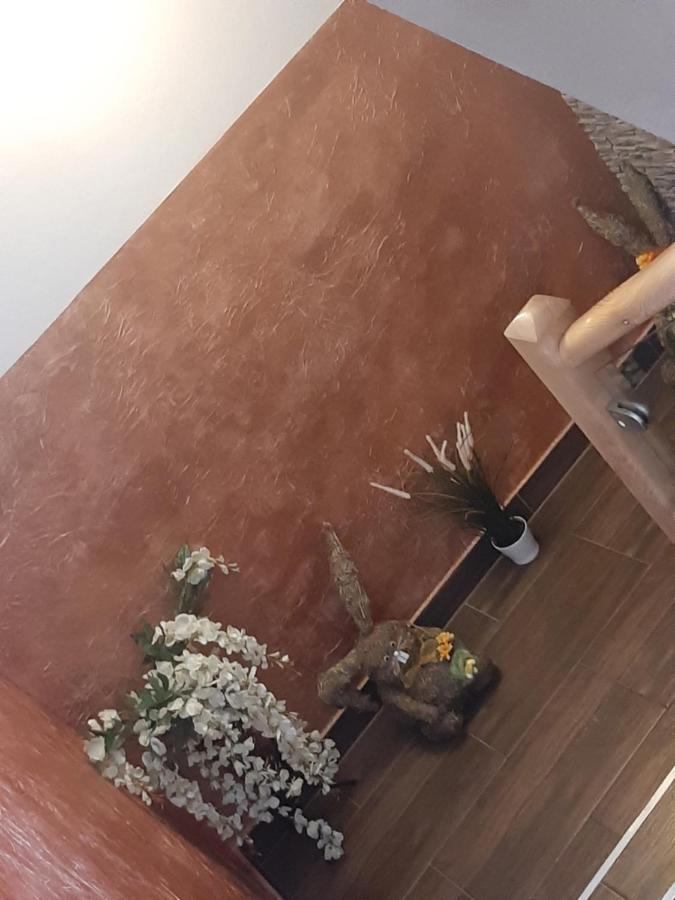 Pokoje U Mrugaly Czerwienne Екстериор снимка